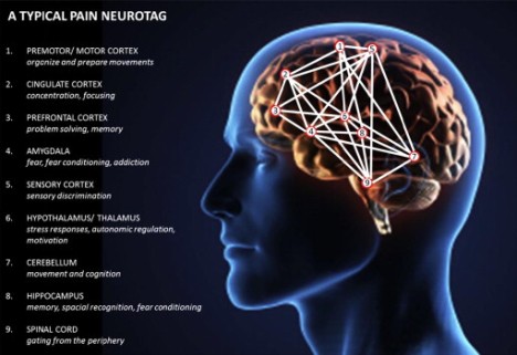 Microsoft Word - Figure 5
