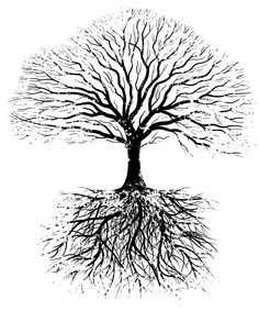 Roots = brain Trunk = spinal cord Branches = nerves