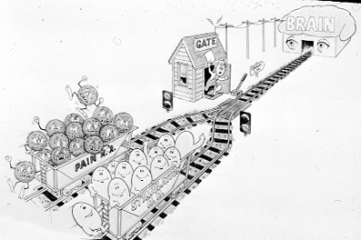 The Pain Gate Theory