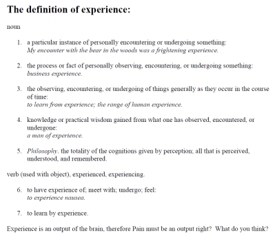 Definition of Experience