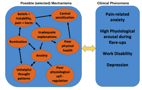 Case Formulation