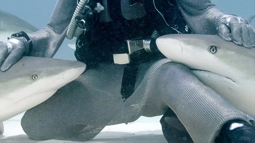 31 days project: The Power of?Touch